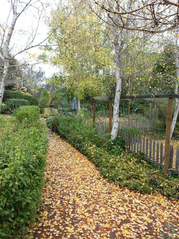 Redgum Hill Country Retreat Guest House Balingup Ngoại thất bức ảnh