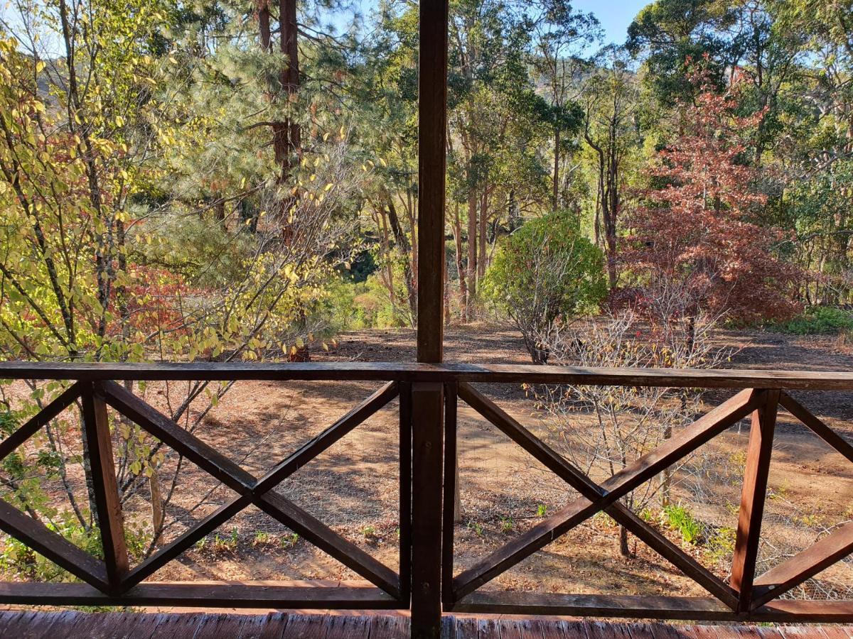 Redgum Hill Country Retreat Guest House Balingup Ngoại thất bức ảnh