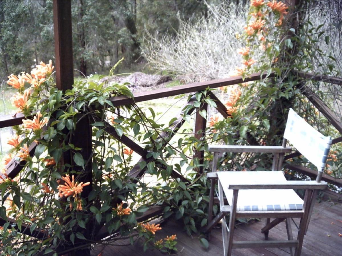 Redgum Hill Country Retreat Guest House Balingup Ngoại thất bức ảnh
