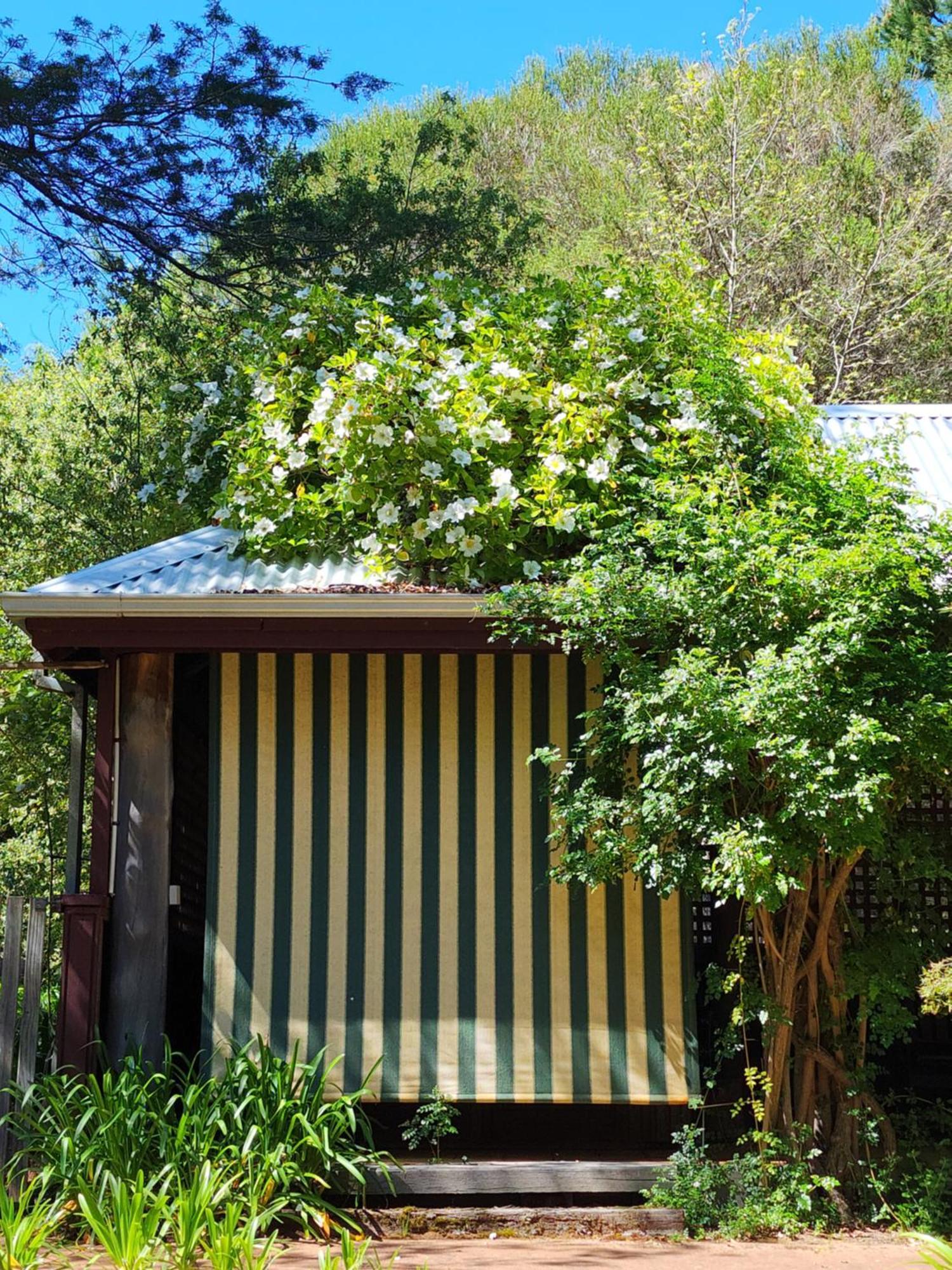 Redgum Hill Country Retreat Guest House Balingup Ngoại thất bức ảnh