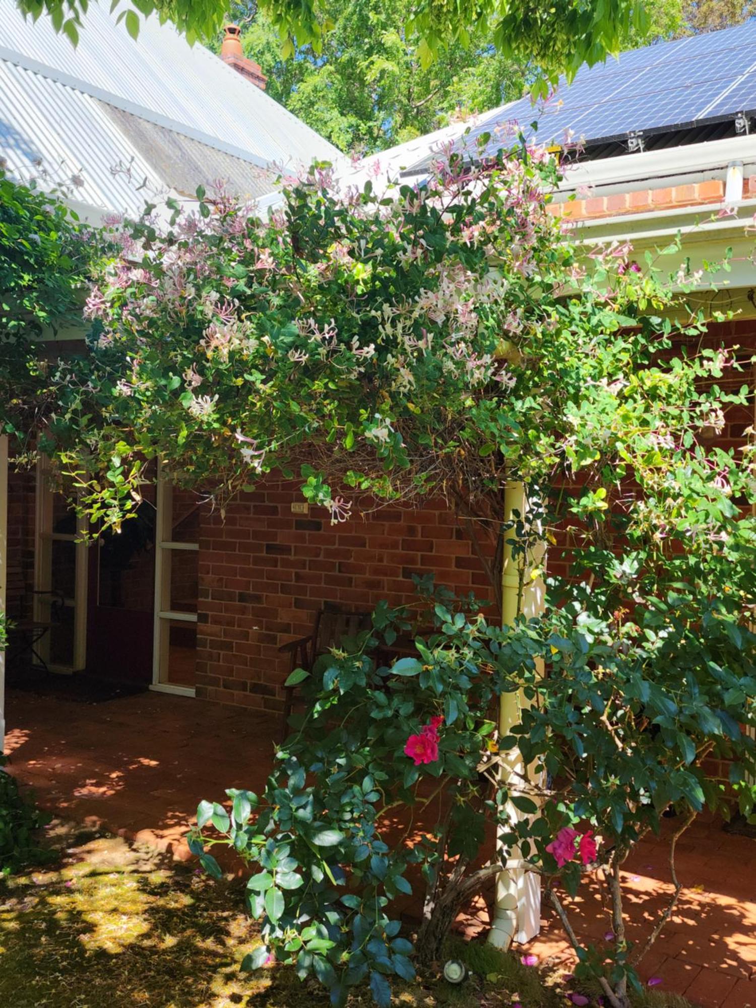 Redgum Hill Country Retreat Guest House Balingup Ngoại thất bức ảnh